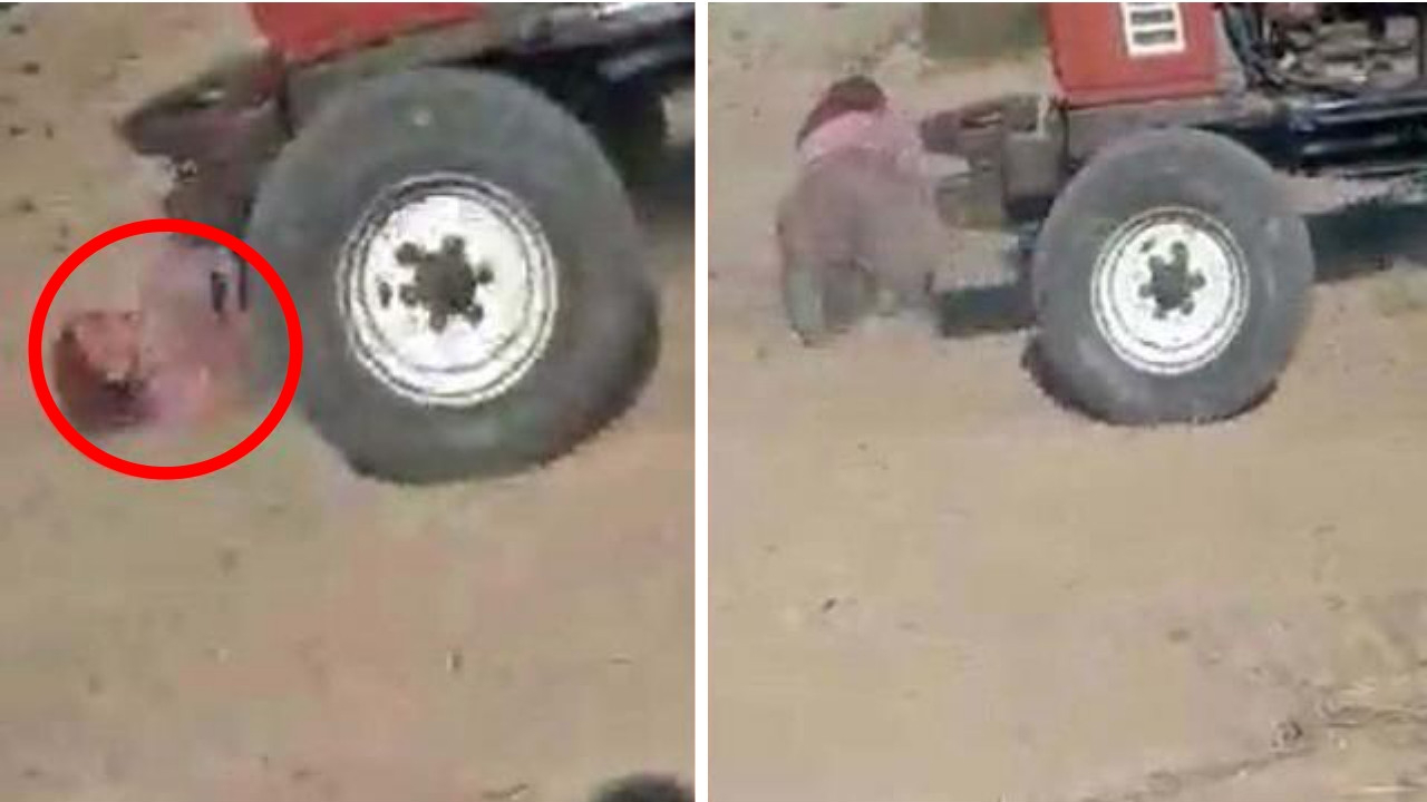 Böyle kardeş olmaz olsun! Miras kavgası yüzünden ablalarının saçlarını yolup, traktörle ezdiler...