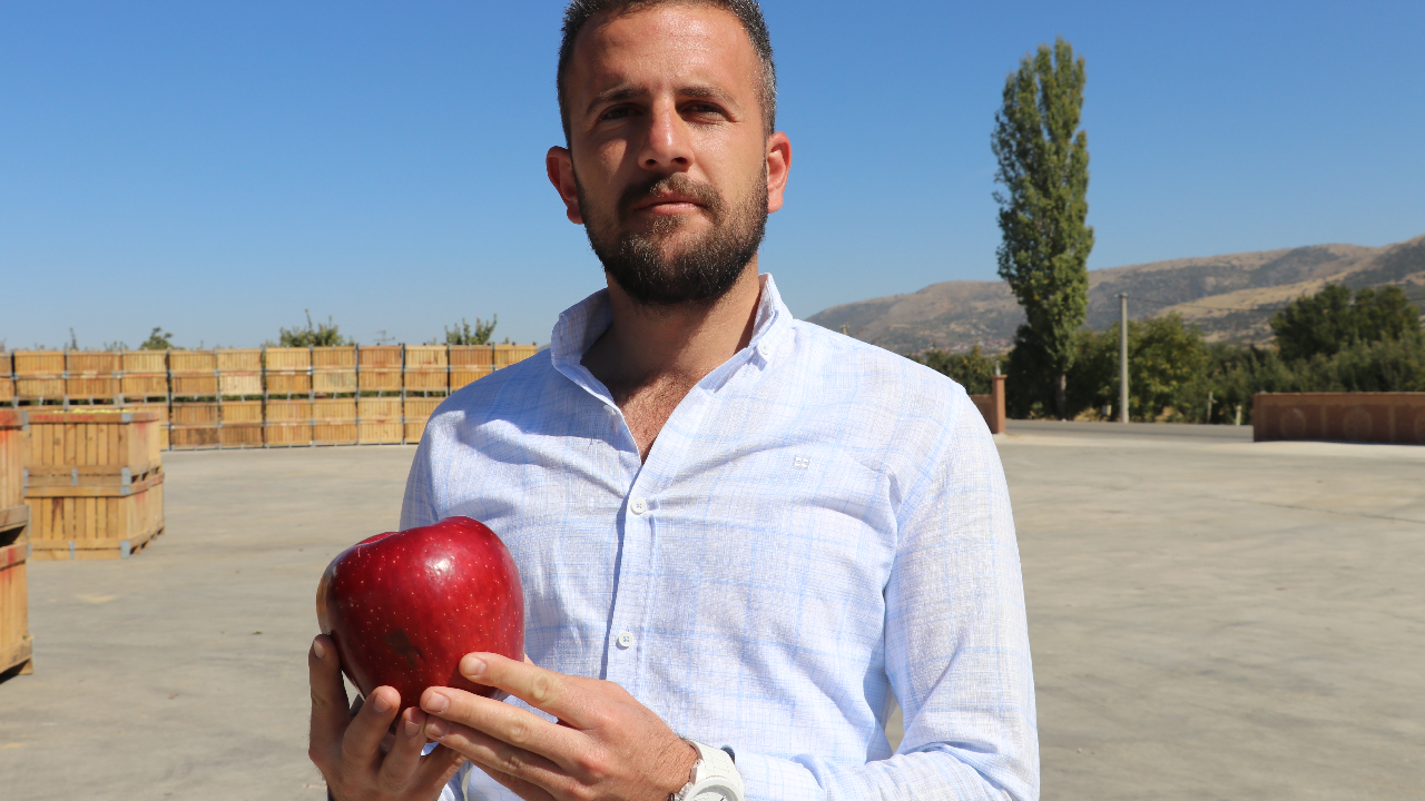 Isparta'da dev elma yetiştirildi: Tam 766 gram!