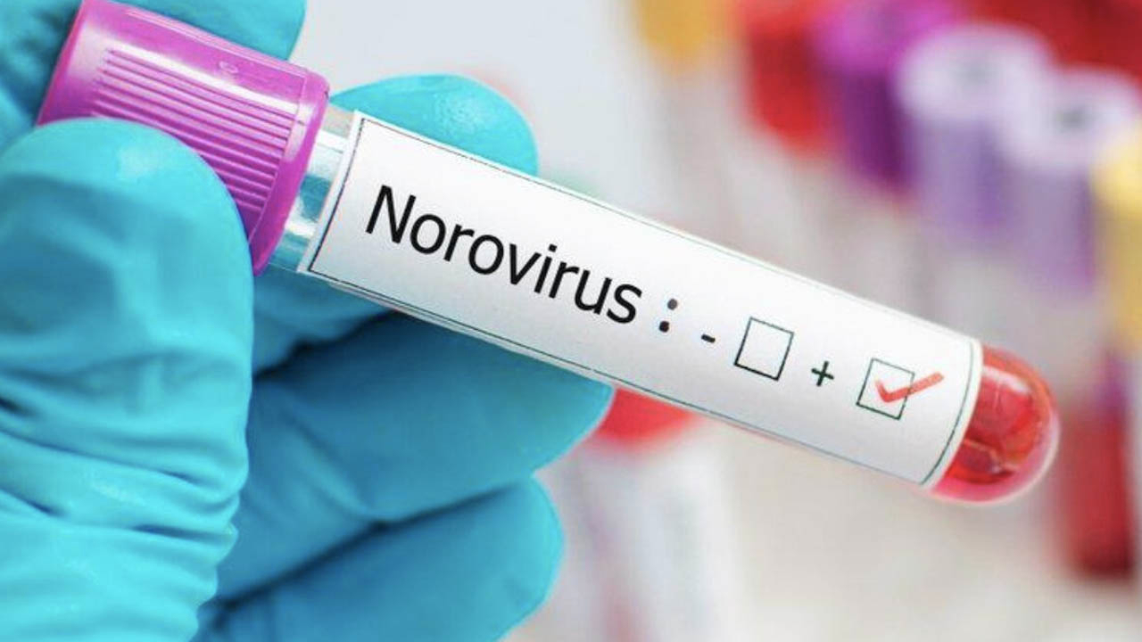 Koronavirüs salgını sonrası sıkça görülüyor: Su ve gıda ile bulaşıyor