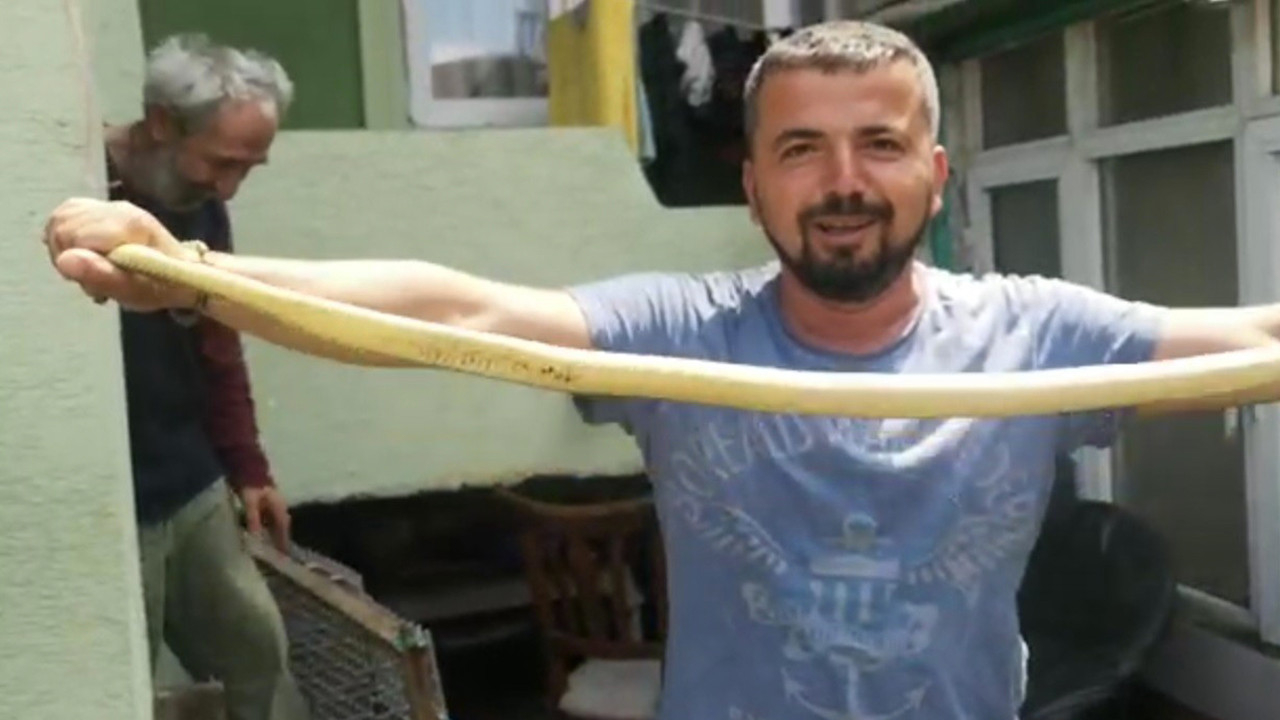 Bursa'da bir eve giren yılan herkesi panikletti