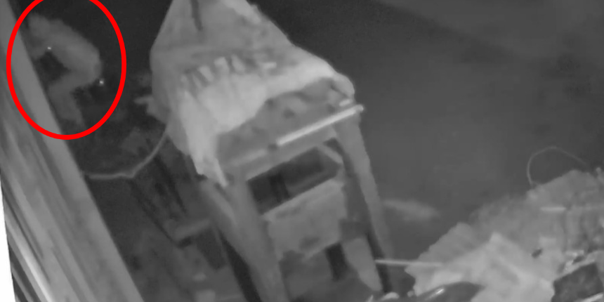Örümcek adam gibi tırmanıp, 40 bin liralık bakır kablo çaldılar