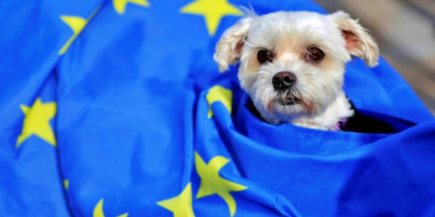 Polonya'nın AB'den ayrılma vaadi, yavru köpekleri boğma vaadine denk!