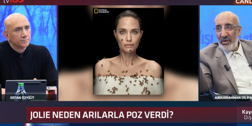 Bal uzmanı Dilipak, 'Arılara kenevir verin' diyor