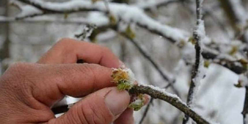 Meteorolojiden zirai don uyarısı