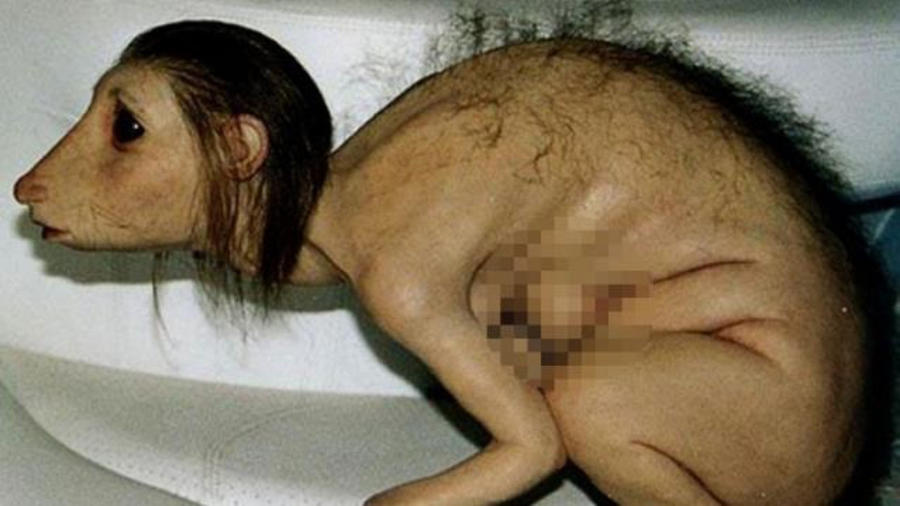 Kur'an-ı Kerim'i yırtan kız olarak bilinen fotoğrafın gerçek hikayesi şoke etti! Aslında bambaşkaymış...