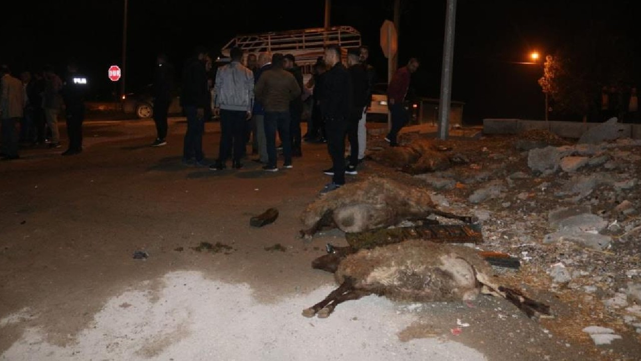 Diyarbakır’da otomobil sürüye çarptı: 4 koyun telef oldu