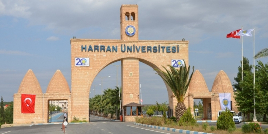 Şanlıurfa’da renkli pamuklar yetiştiriliyor