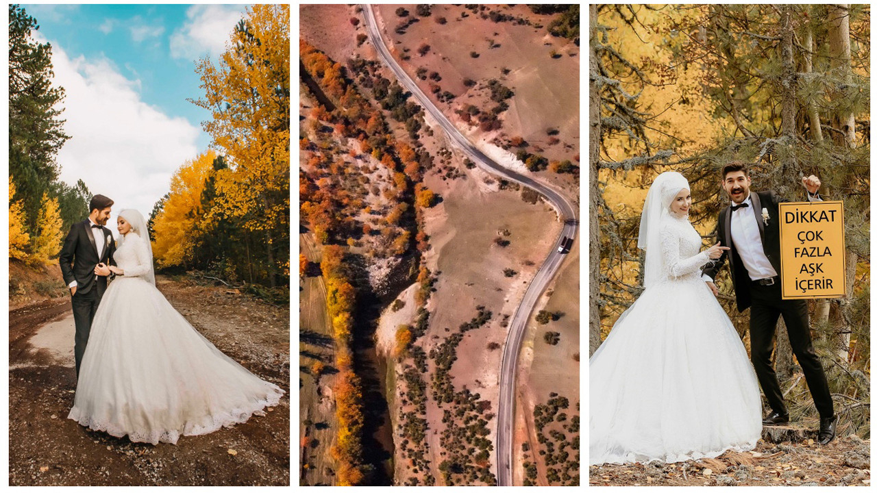 Balıkesir'deki Sındırgı ormanları düğün fotoğrafçılarının gözdesi oldu