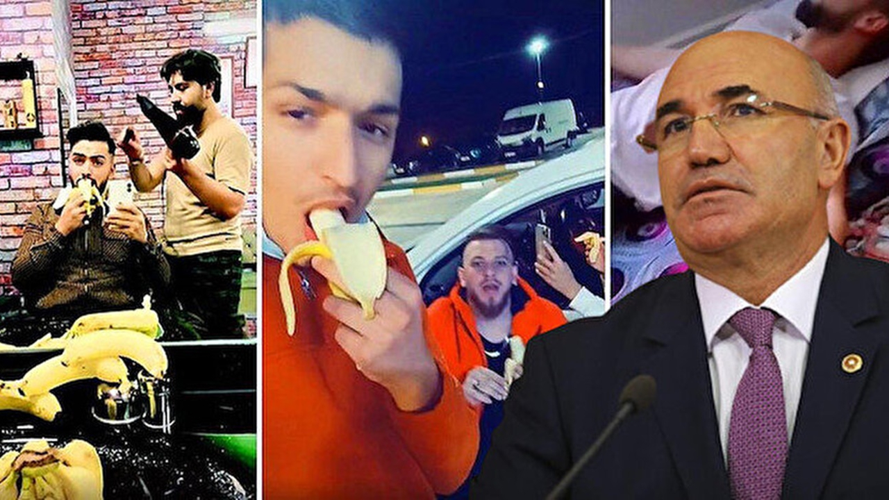 CHP'li Tanal, provokasyon yapan göçmenlerin sınır dışı edilmesine karşı çıktı