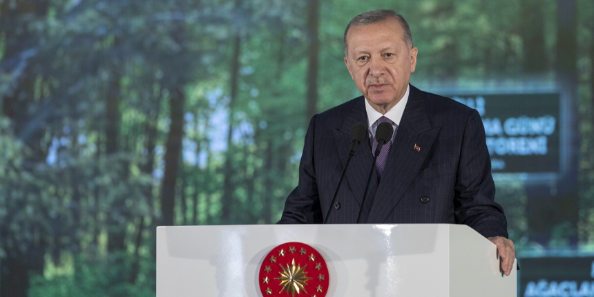 Erdoğan: Tarihimizin en büyük ağaçlandırma seferberliğini yürütüyoruz