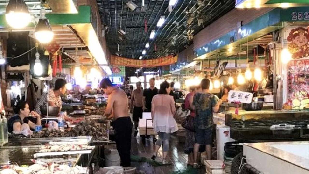 Koronavirüs salgının çıktığı hayvan pazarında bulundu... Yeni salgınları tetikleyebilir