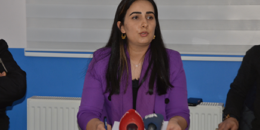 DEVA Partisi'nde Muş İl Başkanı ile 45 üye istifa etti: İlimizi parselliyorlar
