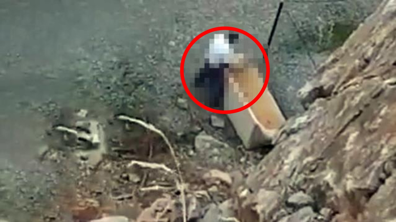 Sosyal medya bu sapığı konuşuyor: İzmir'de bir bekçi, köpeğe tecavüz etti!