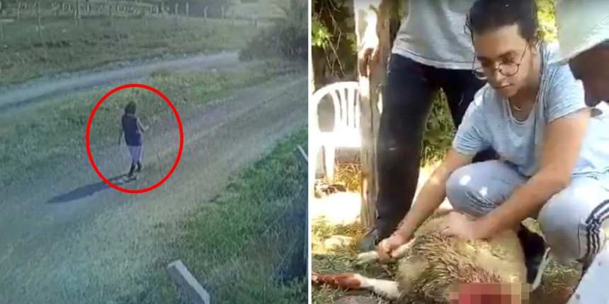 Kurbanlığın peşinde hayatını kaybetmişti... Tıp öğrencisi Onur Eker'in otopsi raporu kahretti...