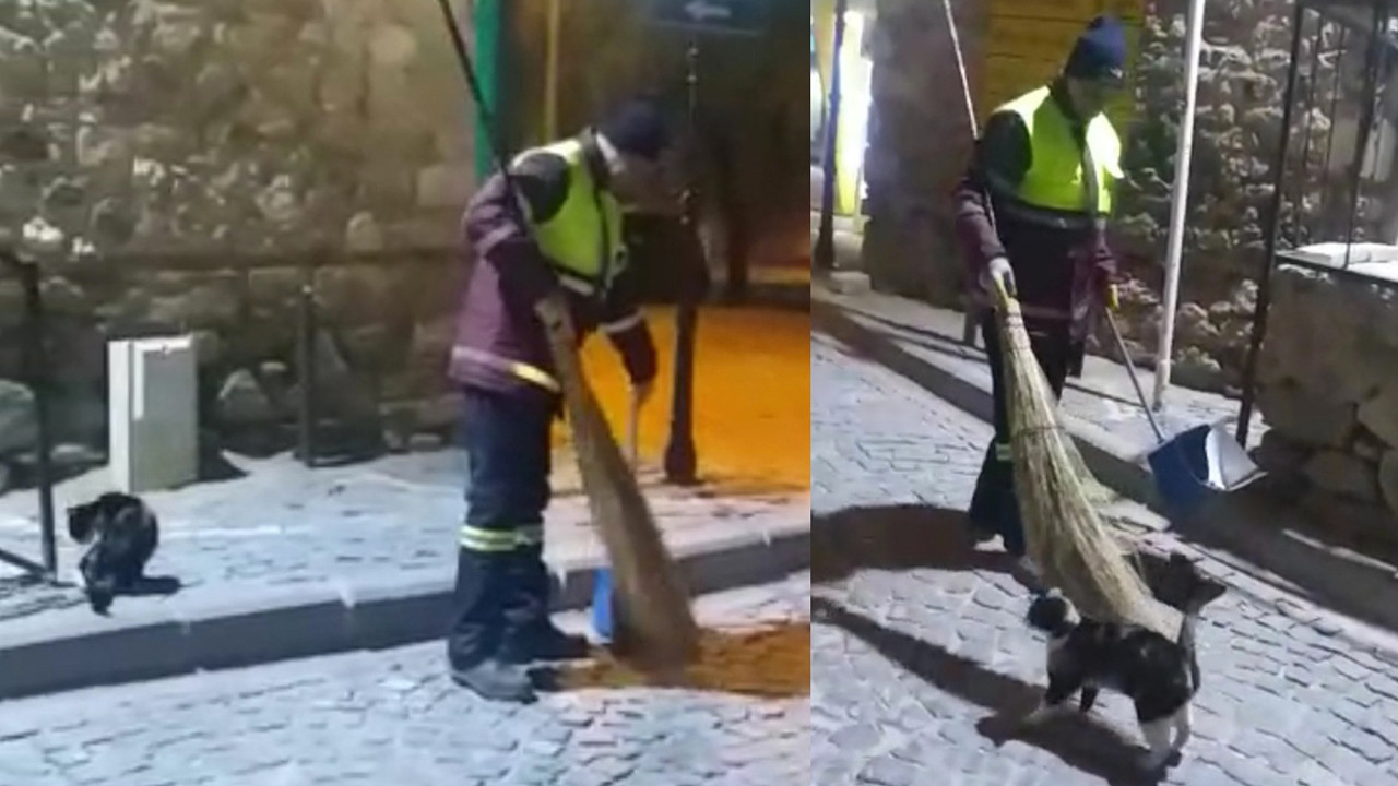 Temizlik görevlisi ile sokak kedisi arasındaki dostluk yürekleri ısıttı
