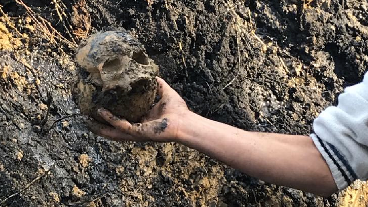 Kampüste tüyler ürperten görüntü! İnsan kemikleri bulundu