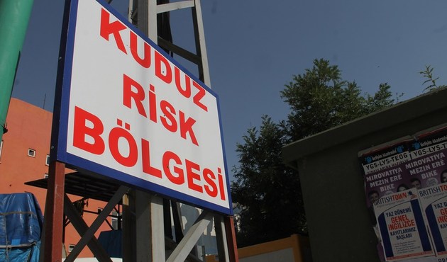 Konya'da kuduz alarmı