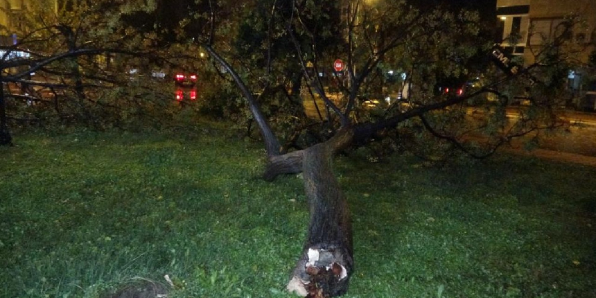 Antalya'da hortum ağaçları kökünden söktü