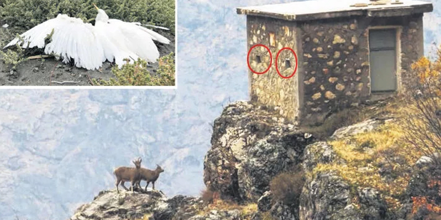Yaban hayvanlarını avlamak için böyle tuzak kurdular: Tuzak kurarak kulübede gizleniyorlar