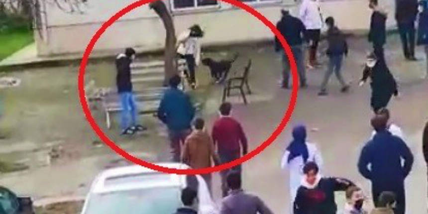 Korku dolu anlar: Okula giren pitbull, yakaladığı 5 öğrenciyi ısırdı!
