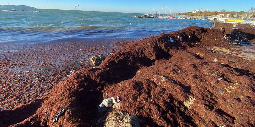 Caddebostan sahili lodos sonrası kırmızıya büründü