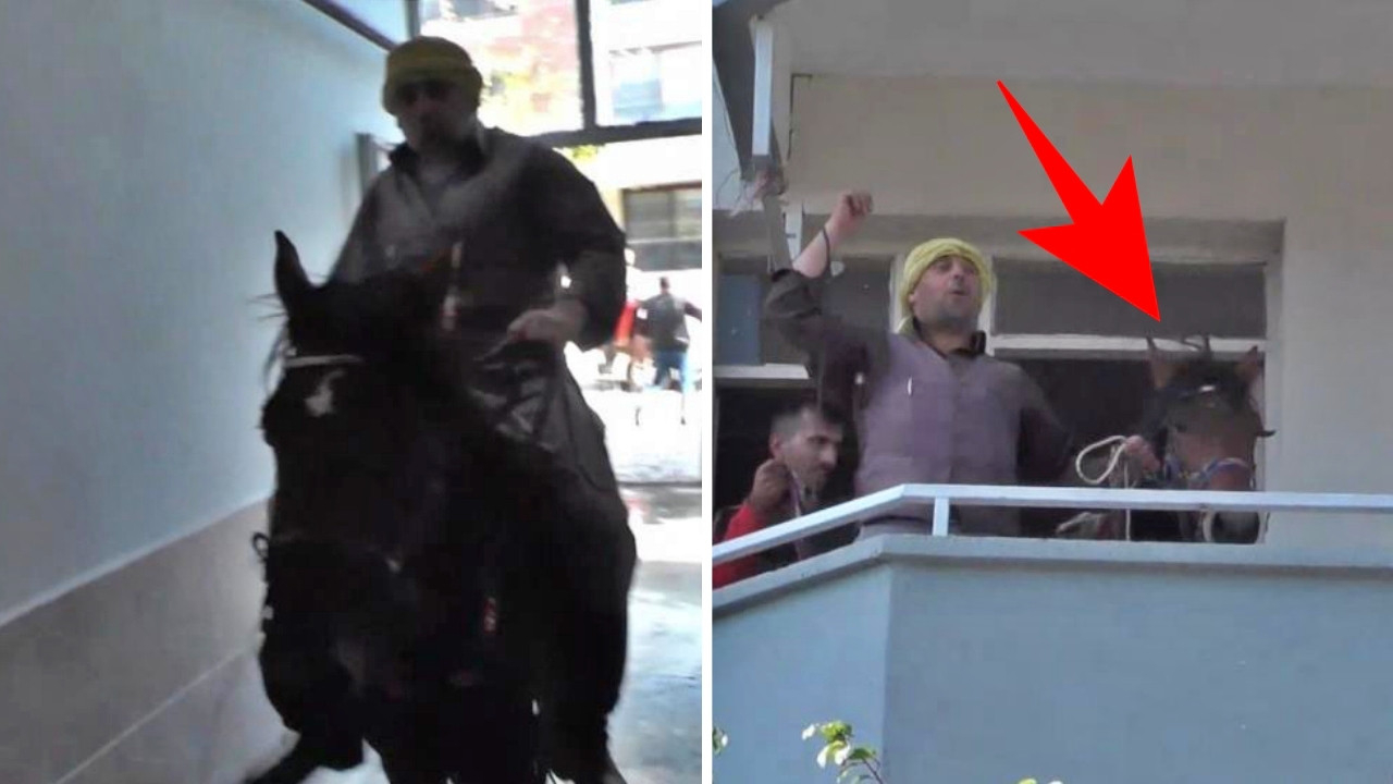 Atın üstünde apartman dairesine çıkıp balkondan poz verdi! İzleyenler şaştı kaldı...