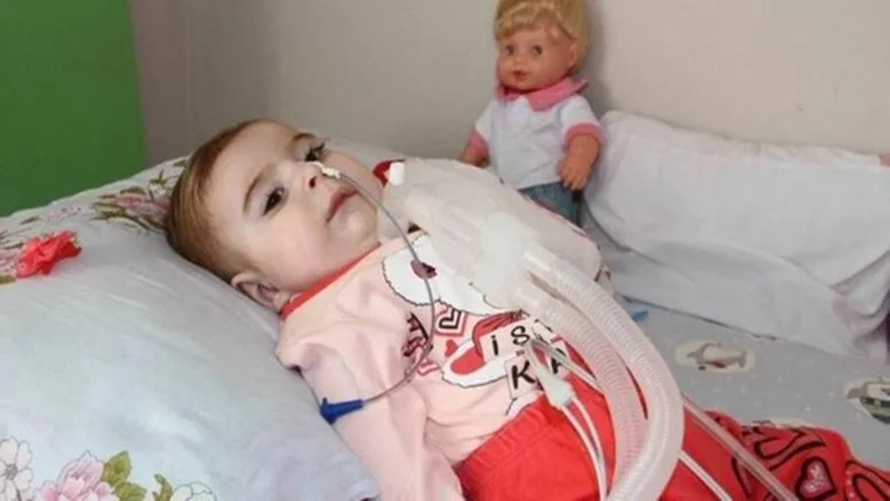 SMA tarama test sonucunuz riskli ise tüp bebek masraflarınız devletten!