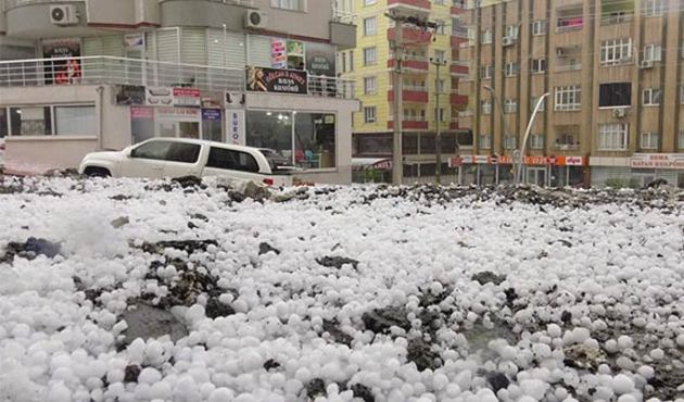 Aniden bastırdı... Zarar büyük!