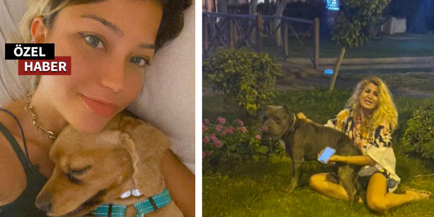 Köpeğini parçalayan Pitbull'un sahibine 100 bin TL'lik tazminat davası açtı!