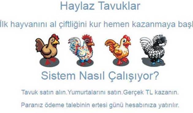 İnternette "haylaz tavuk vurgunu"