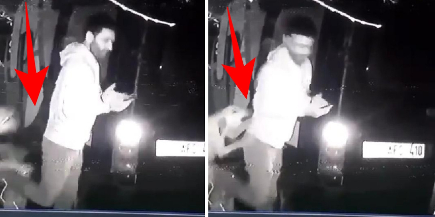 Barınaktaki köpeği tekmelemişti! Hayvan koruma derneği üyesi istifa etti!