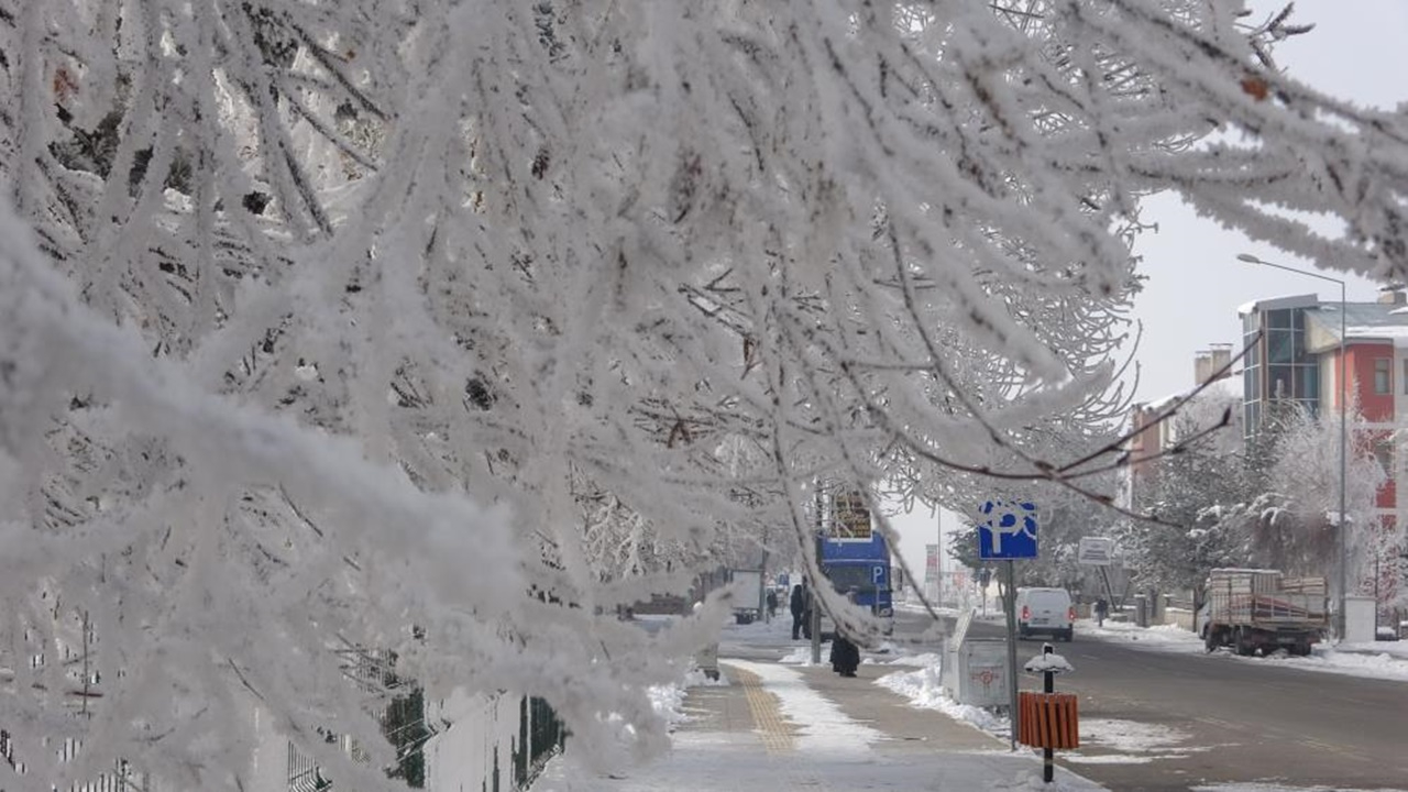 Ardahan adeta buz tuttu! Sibirya soğukları hayatı felç etti