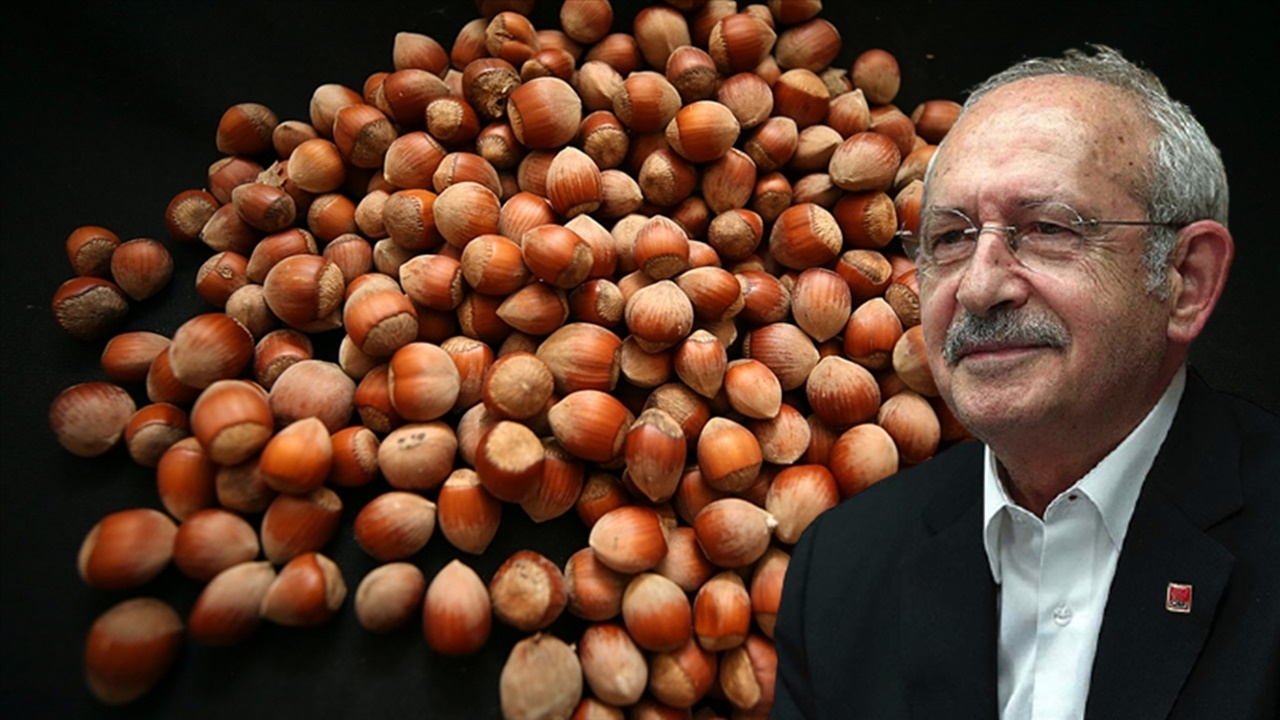 "Fındığın yüzde 42'sini Şanlıurfa üretir" diyen Kılıçdaroğlu'na Ordu'dan yanıt