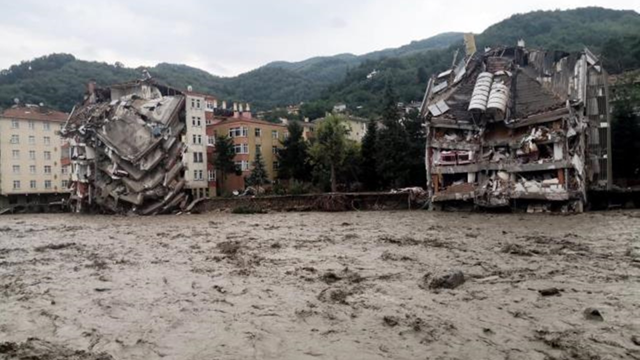 Karadeniz'de büyük tehlike: Bir an önce önlem alınmalı