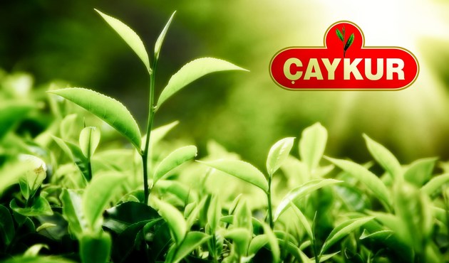 Çaykur 1500 işçi alacak