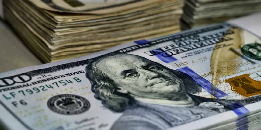Merkez Bankası dolara 5. kez müdahale etmişti, miktarı belli oldu