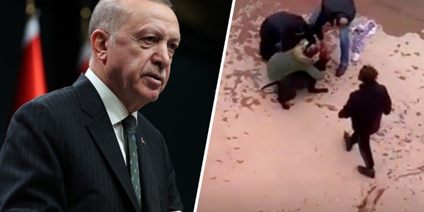 Cumhurbaşkanı Erdoğan'dan Pitbull dehşeti sonrası belediyelere çağrı: Hayvan barınakları kurulmalı!