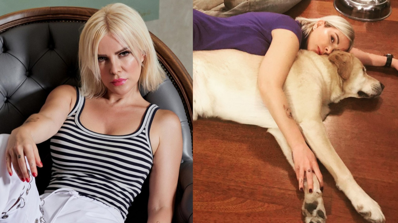 Cumhurbaşkanı Erdoğan talimat verdi, Ömür Gedik sokak köpeklerinin toplanmasına tepki gösterdi