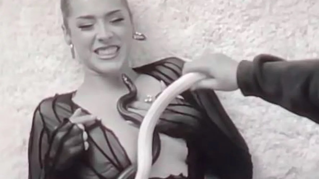 Müzik için başına gelmeyen kalmadı! Şarkıcı Maeta'yı yılan soktu