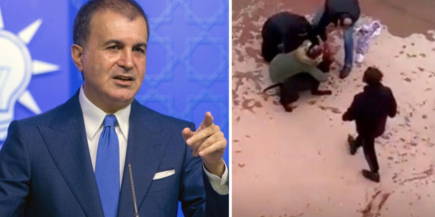 AK Parti Sözcüsü Çelik'ten pitbull saldırısı sonrası dikkat çeken açıklama: Belediye başkanlarımıza talimat verildi!