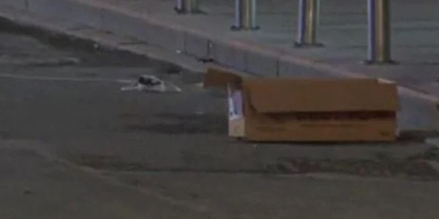 AK Parti binası önüne bırakılan bomba zaman ayarlı çıktı