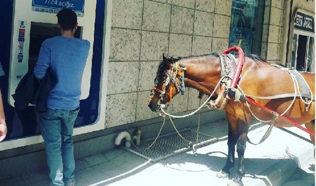 Türkiye'nin batısı, ABD'nin 'Vahşi Batı'sını aratmıyor!