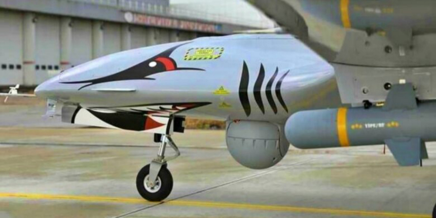 Oryxspioenkop, Bayraktar TB-2'nin 'ölüm listesini' yayımladı!