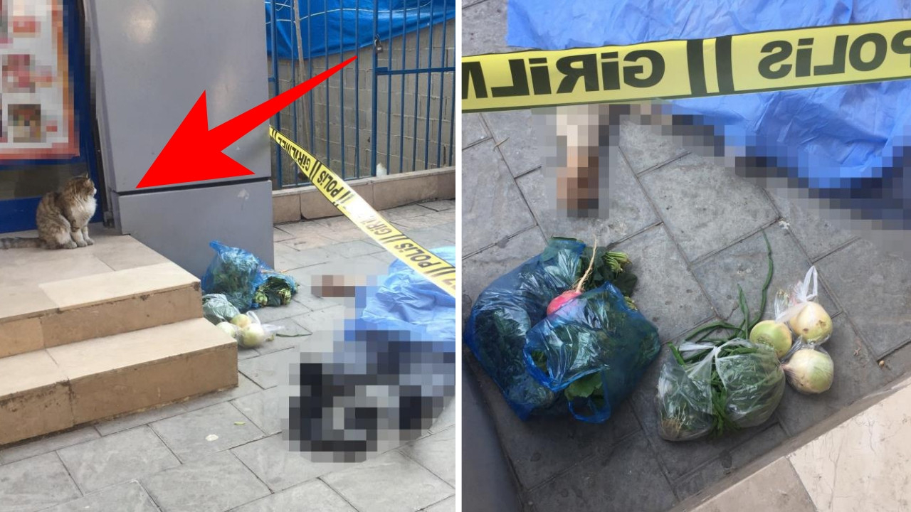 Adana'da yürek burkan olay: Vefat eden yaşlı adamın yanından bir an olsun ayrılmadı...