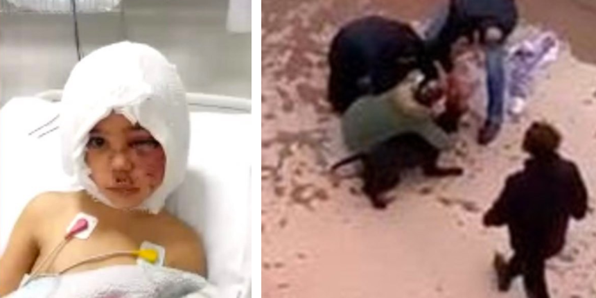 Gaziantep'teki pitbull saldırısı soruşturmasında flaş gelişme!