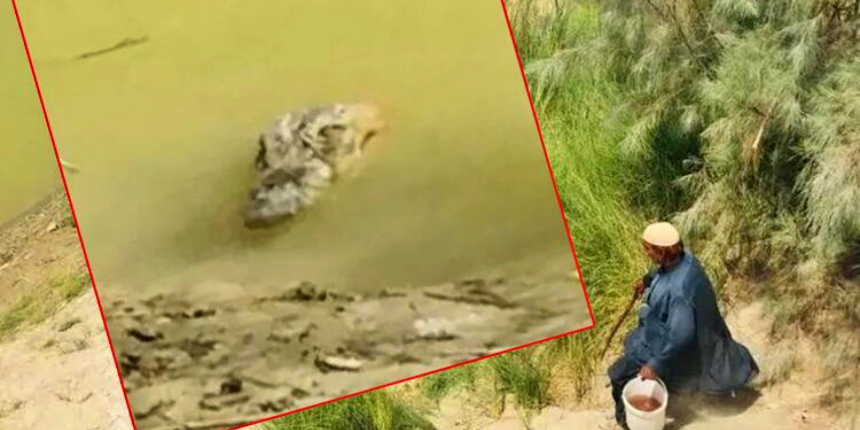 İran'da timsahlar insanlara saldırıyor: Akıalmaz su krizi!