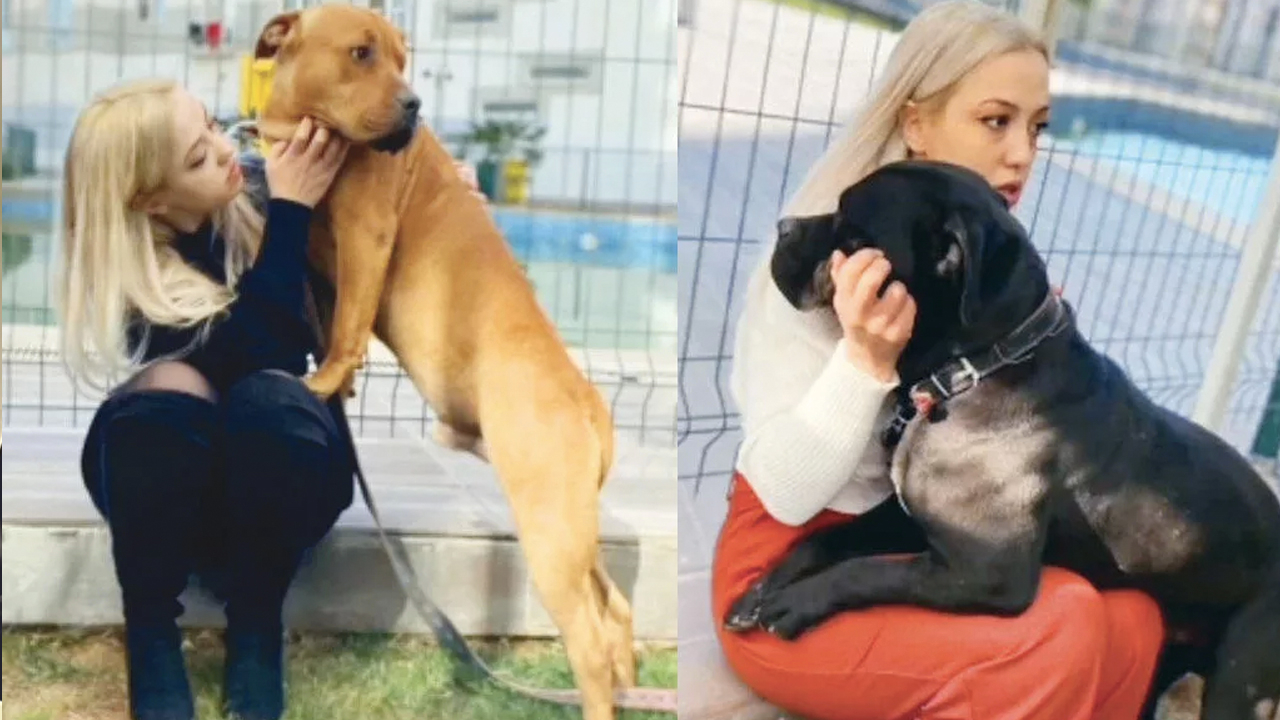 Gaziantep'teki pitbull dehşetinde yeni gelişme: Sosyal medyadaki o paylaşımı ele verdi
