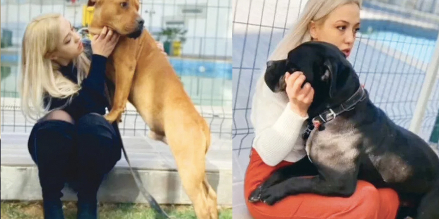 Gaziantep'teki pitbull dehşetinde yeni gelişme: Sosyal medyadaki o paylaşımı ele verdi