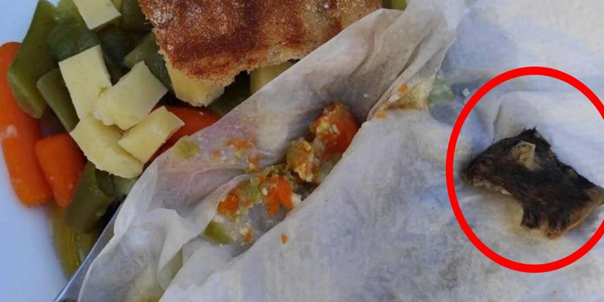 Dondurulmuş yiyeceğin içinden çıkan fareyi fark etmeyip yarısını yedi!