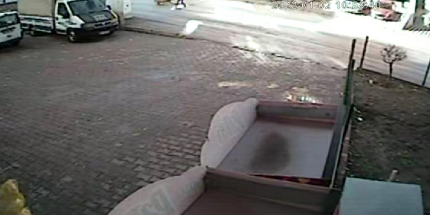 Sokak köpekleri 10 yaşındaki çocuğa saldırdı! O anlar kamerada!